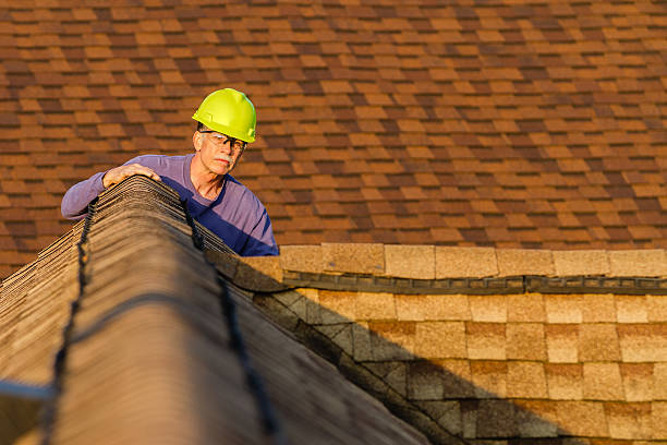 Best Roof Maintenance Services  in Leadington, MO