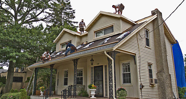 Best Metal Roofing Contractor  in Leadington, MO